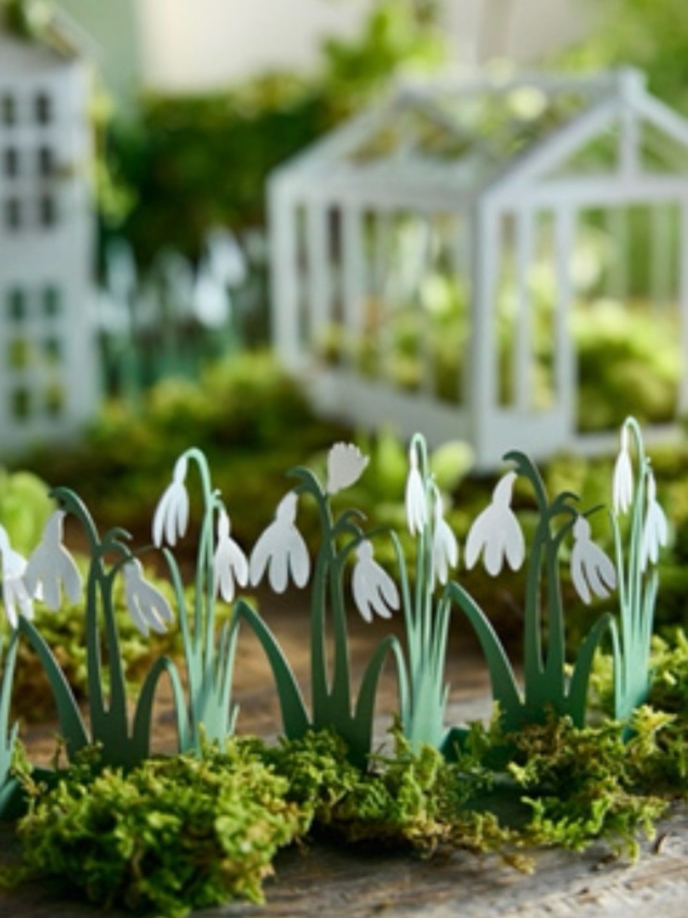 Decorative Snowdrop Row - White & Green Decor.